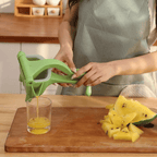 Espremedor para Suco Prático